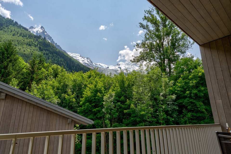 View of l'Aiguille du Midi and Mont Blanc