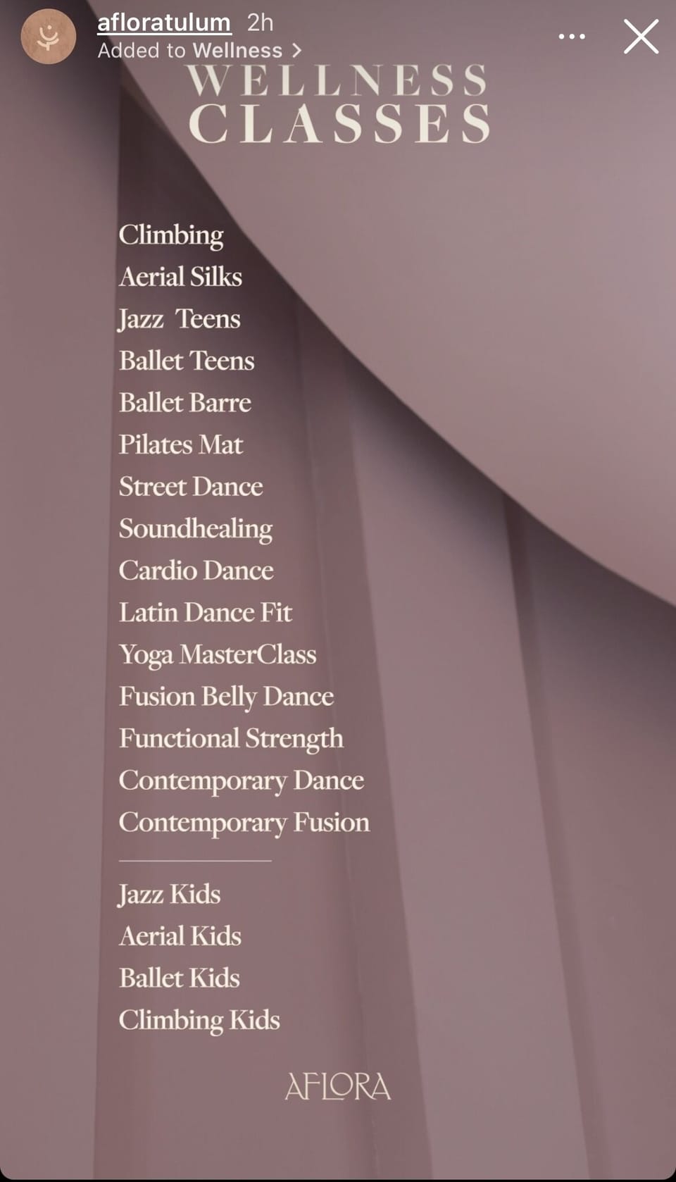 Wellness Classes offered for a fee $