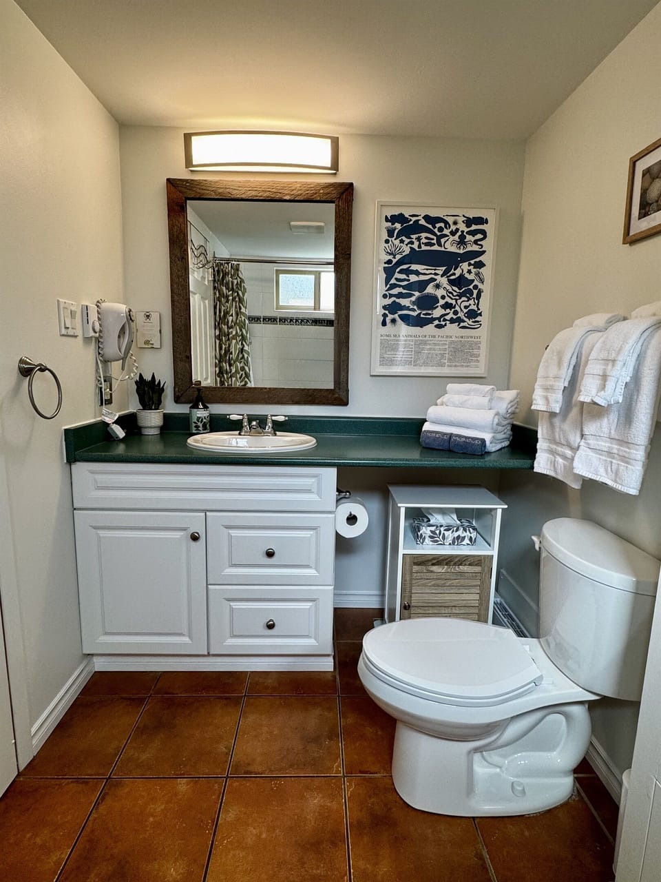 Bathroom stocked with hair dryer, toilet paper, cleaners, tissues, bodywash, shampoo, conditioner, fresh towels, and beach towels. 