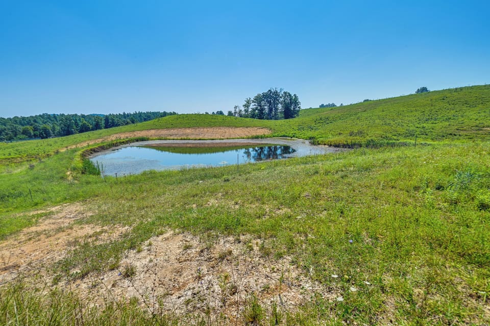 Surrounding Property | On-Site Ponds