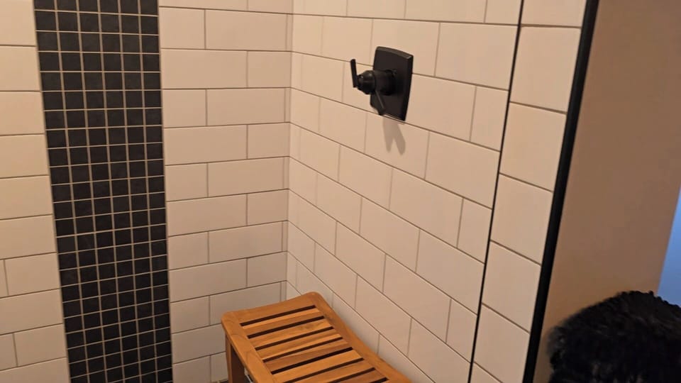 Primary bathroom shower 