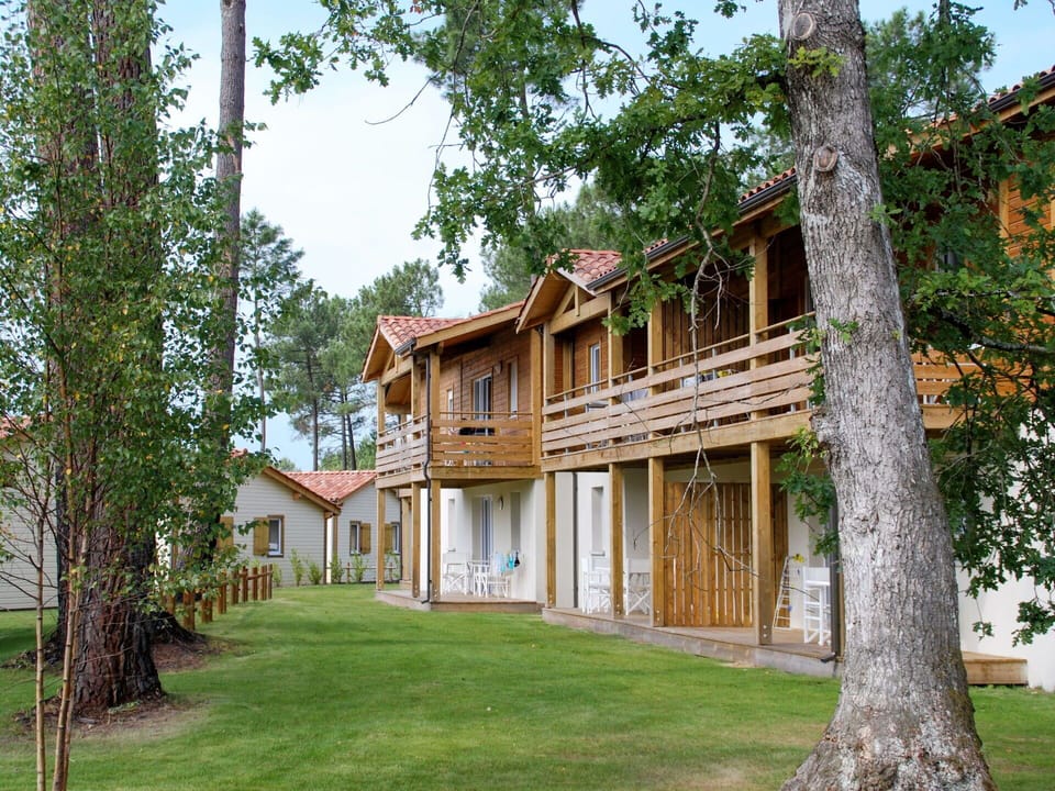 Plant, Building, Property, Sky, Tree, Window, House, Wood, Natural Landscape, Land Lot