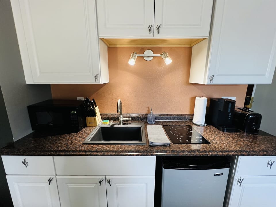 Full kitchenette with sink, microwave, fridge and induction stove top.