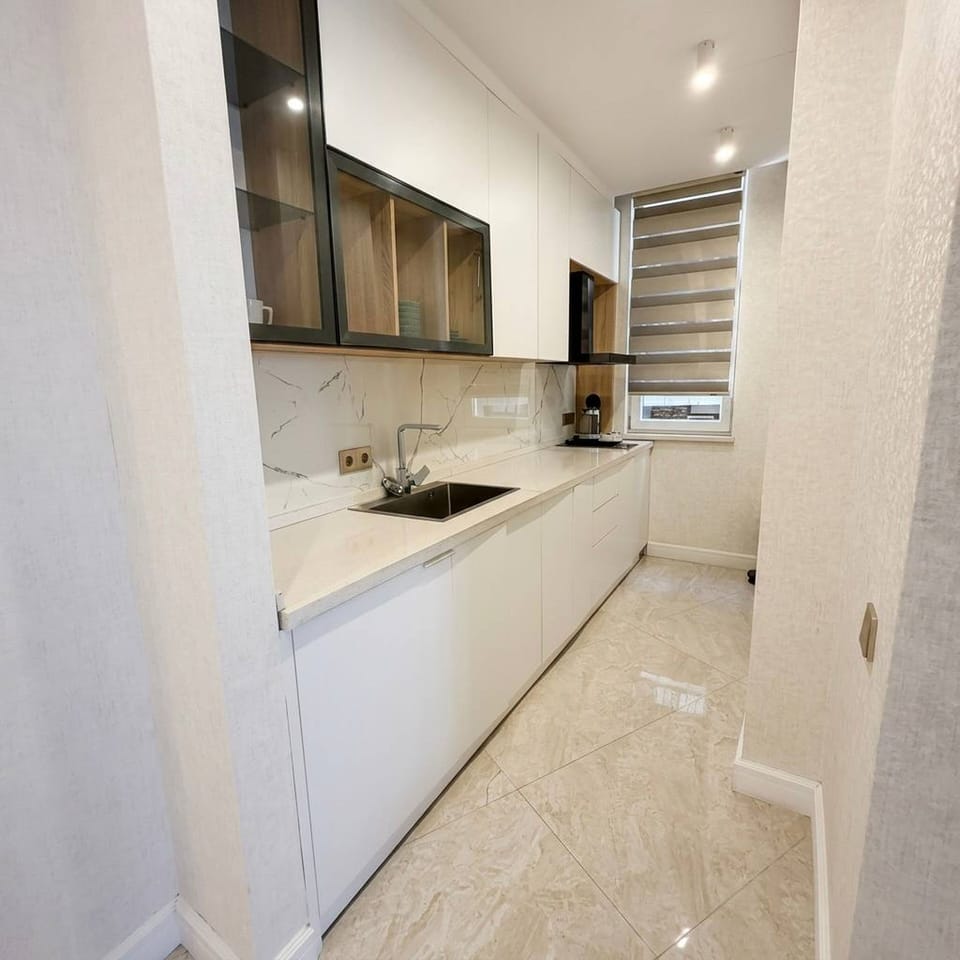 Deluxe Apartment | Shared kitchen | Mini-fridge, microwave (on request), oven, stovetop