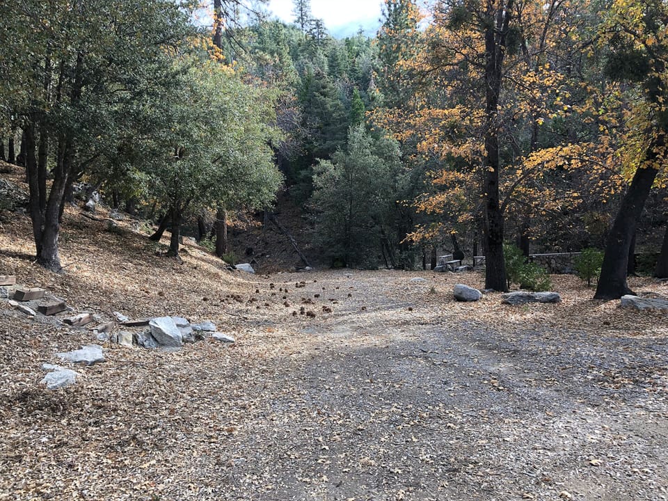 Hiking