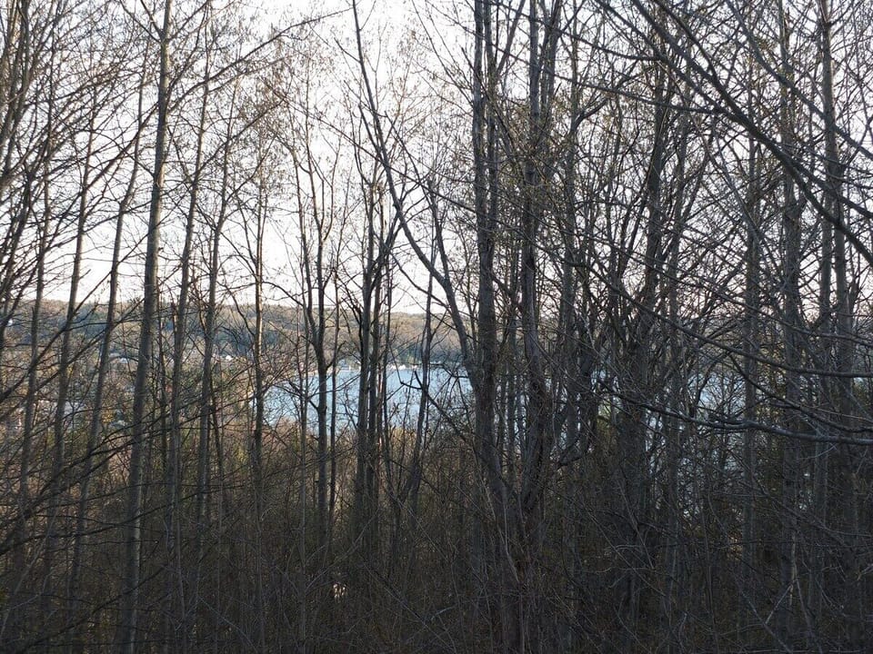 EXTERIOR:  Deck:  A nice view of the eastern end of Crystal Lake looking through the trees from the deck
