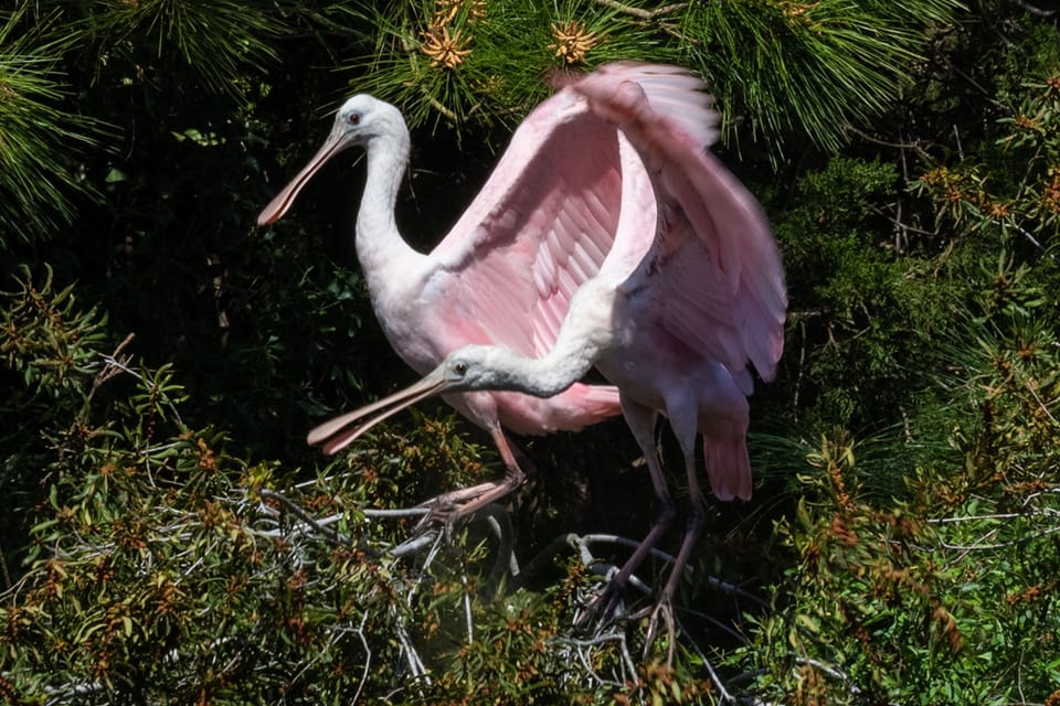 Local wildlife adds charm to your walks.