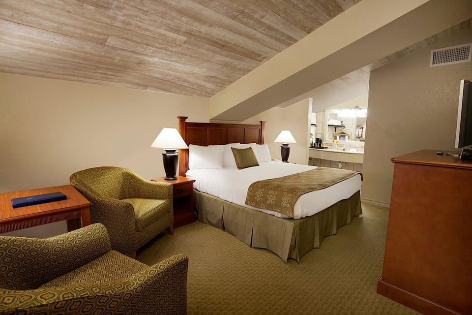 Basic Single Room | Down comforters, blackout drapes, iron/ironing board