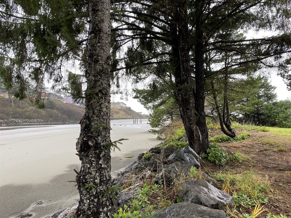 Follow the creek around the corner to the beach