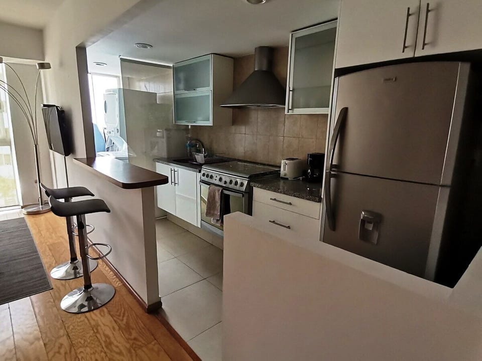 Family Apartment | Private kitchen | Full-size fridge, microwave, oven, toaster