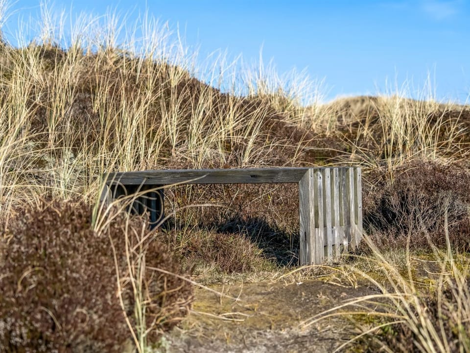 Place