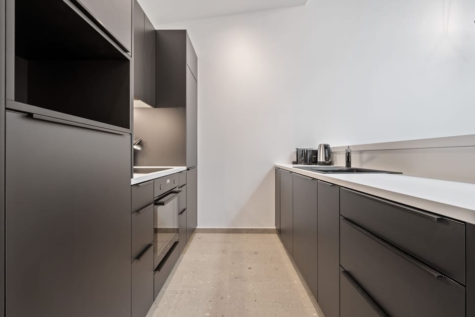 Apartment | Private kitchen | Fridge, oven, stovetop, dishwasher