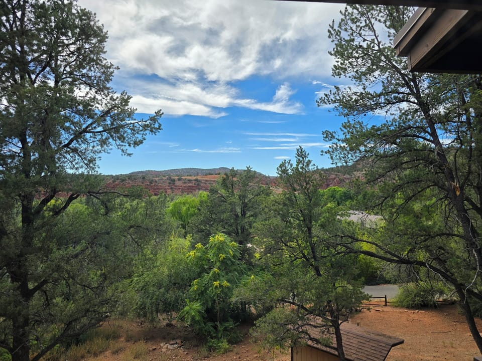 VIEW FROM MASTER BATHROOM WINDOW