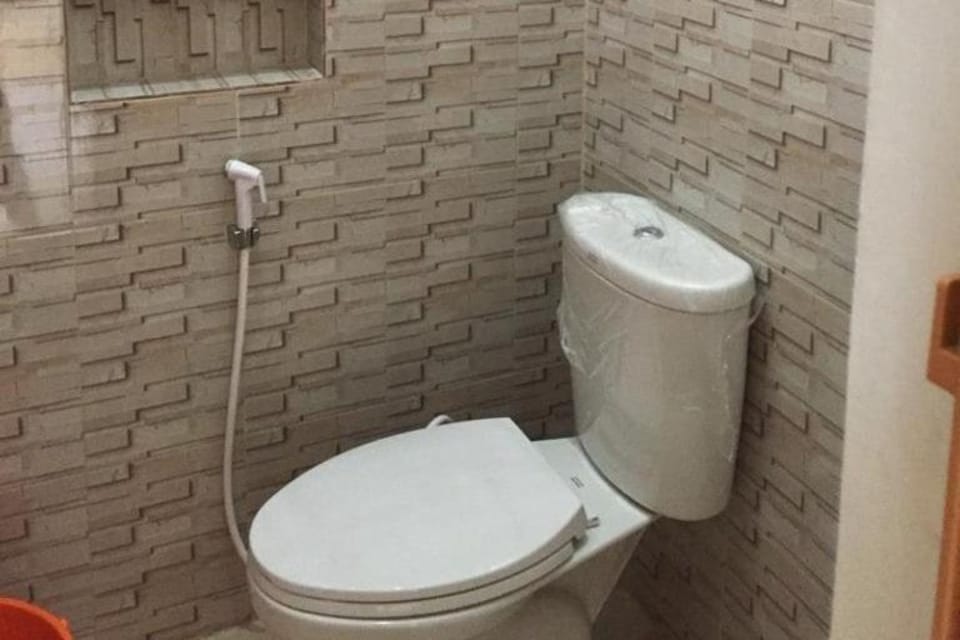 Shower, towels, toilet paper