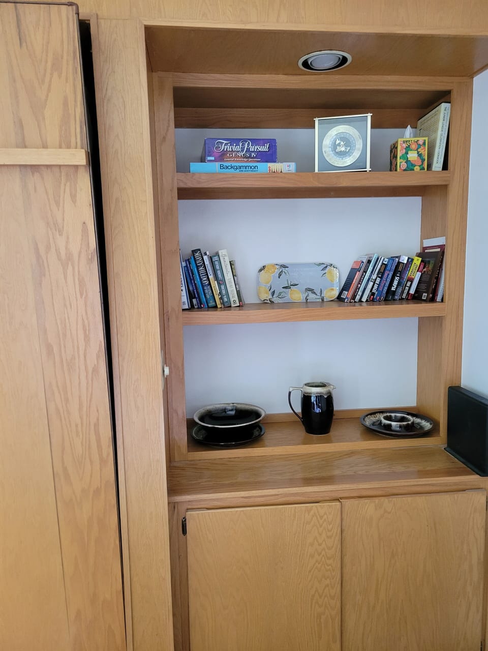 bookshelf by the murphy bed and tv
