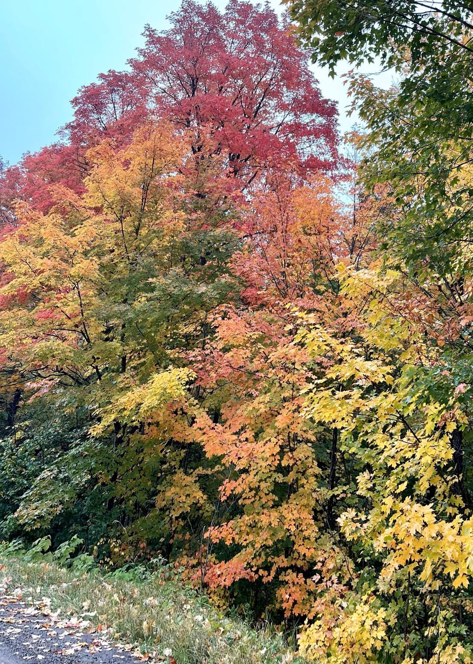 Surrounded by a palette of Lutsen's gorgeous fall colors, our location offers a picturesque backdrop