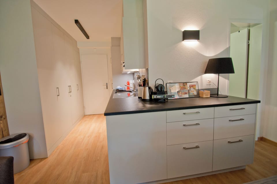 Full-size fridge, oven, stovetop, dishwasher