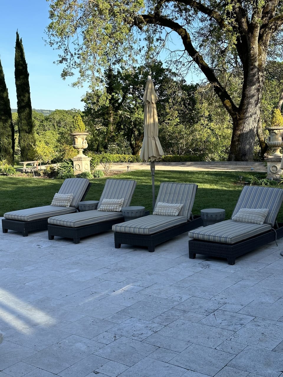8 Poolside Lounges/both sides of pool