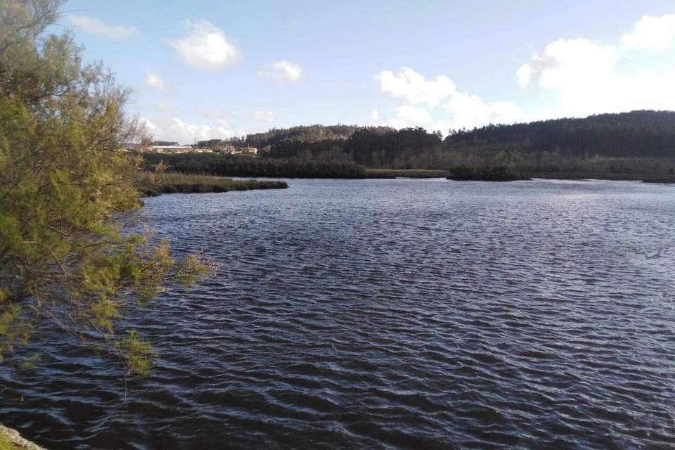 Image 13