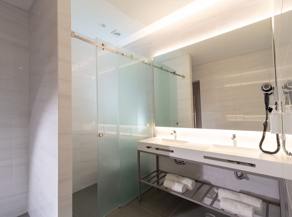Suite | Bathroom | Shower, rainfall showerhead, free toiletries, hair dryer