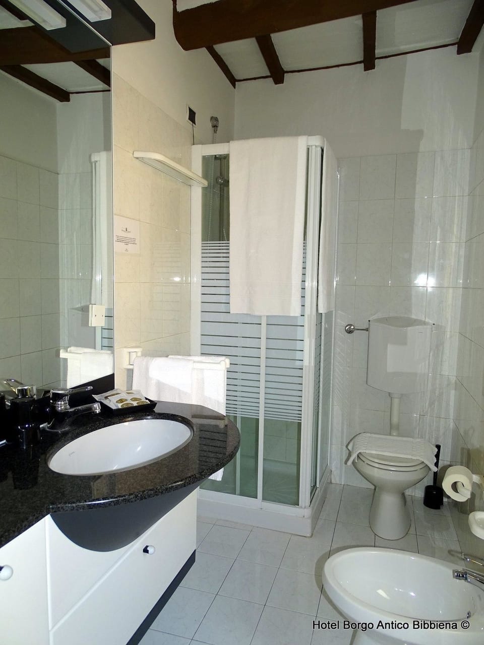 Basic Room | Bathroom | Shower, free toiletries, hair dryer, bidet