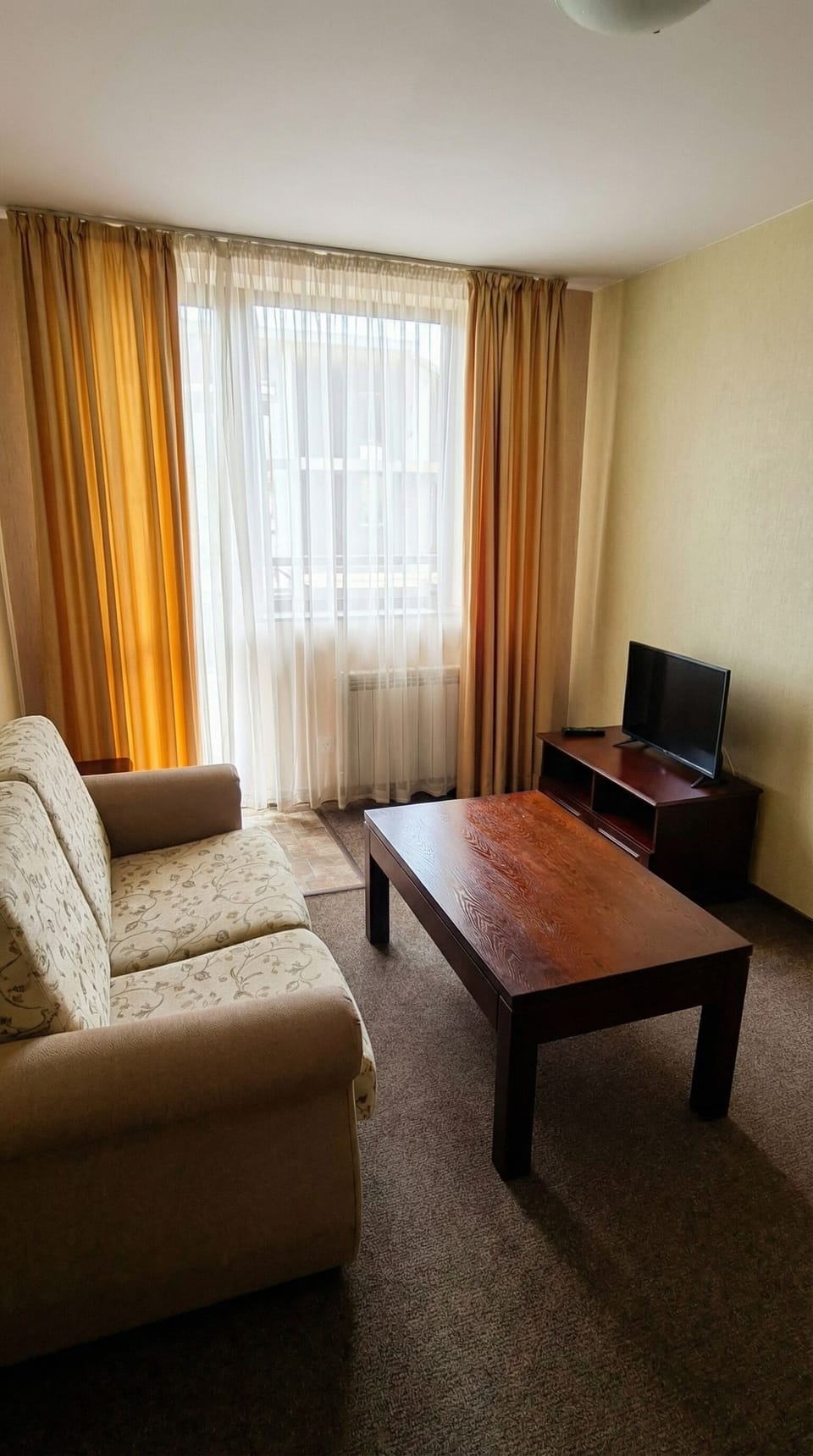 Apartment, 1 Bedroom, Balcony, Mountain View | Living room