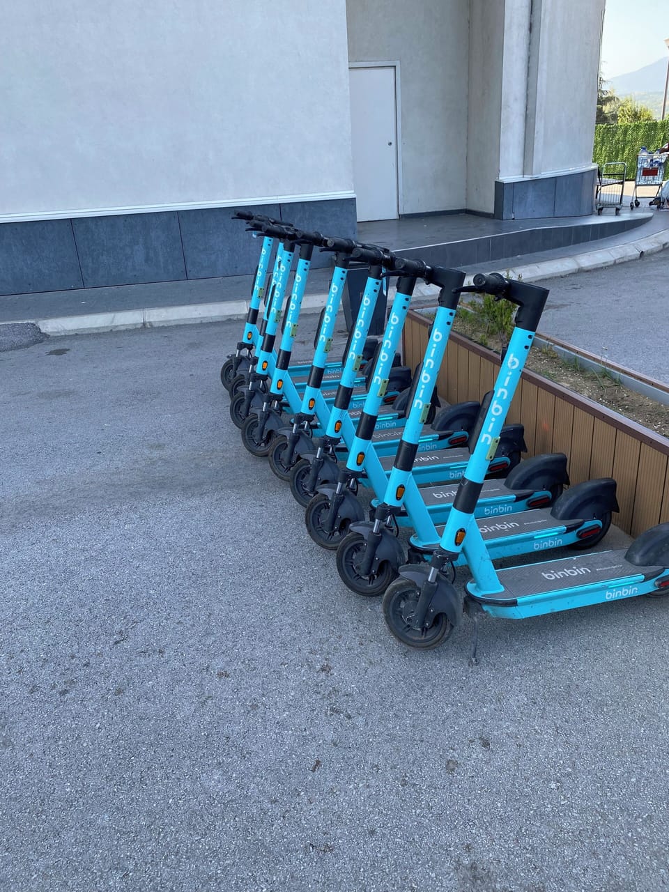 Electric trotinet 