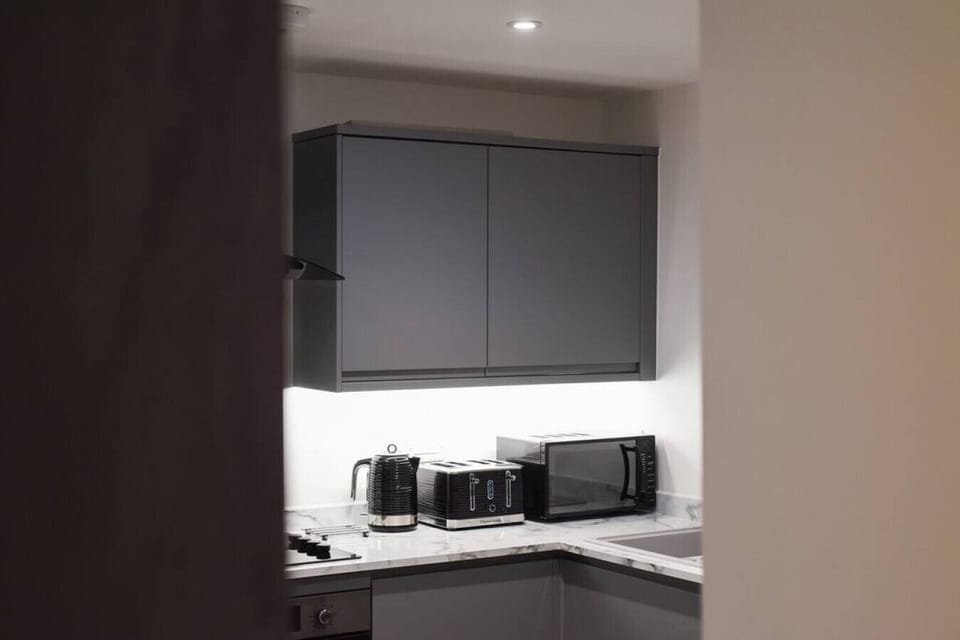 Modern kitchen with cabinets