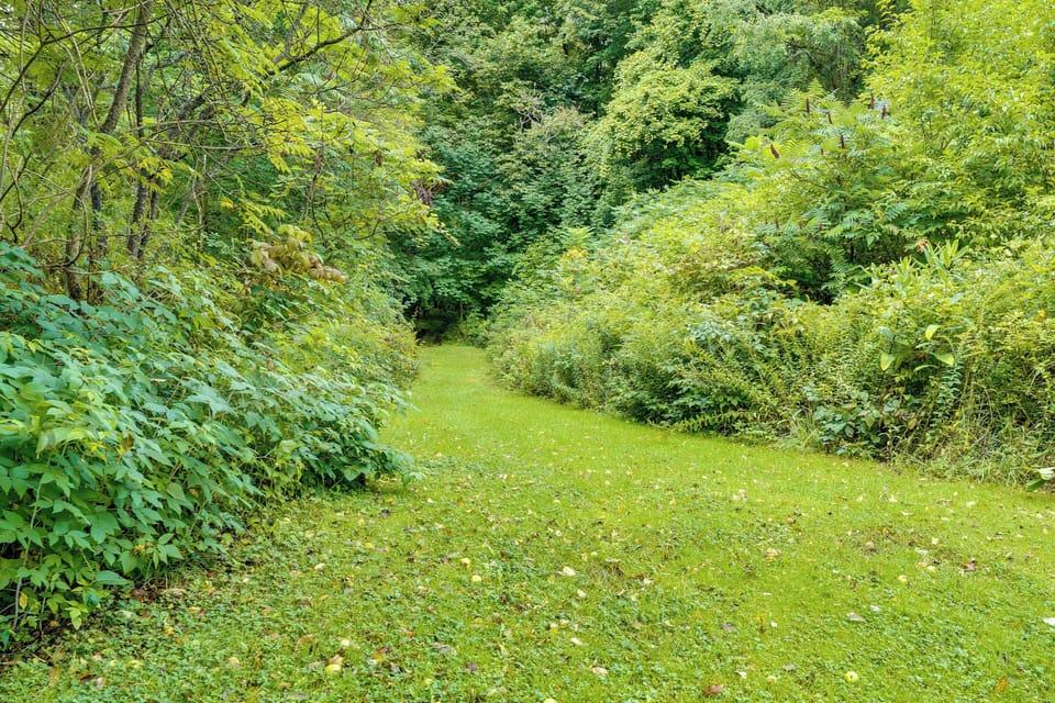 Surrounding Area