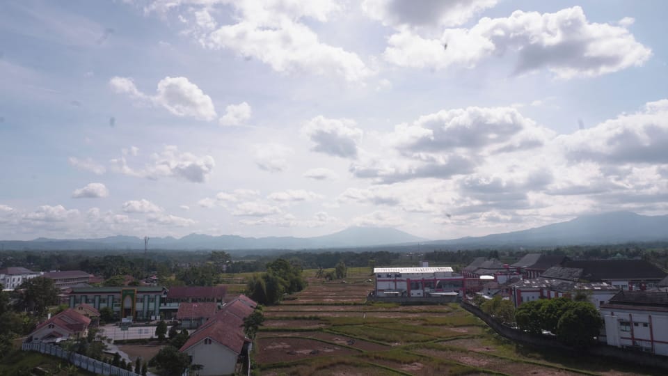 View from room