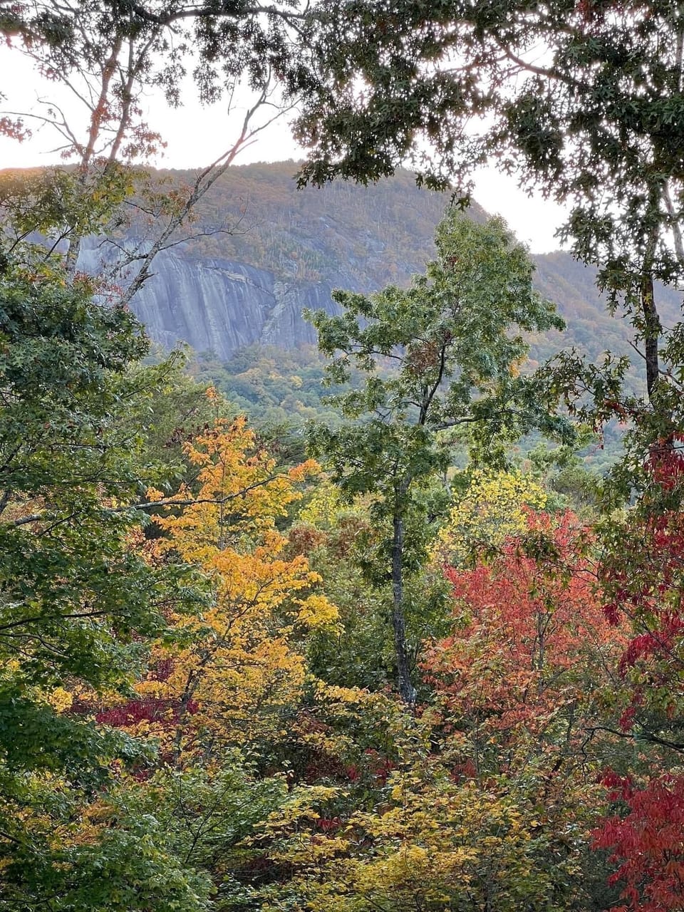 Bald Mountain and Chimney Rock state park are straight ahead of the deck