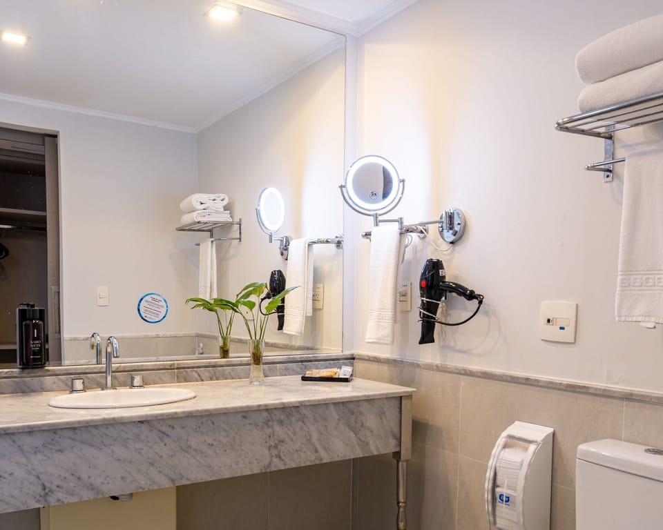 Premium Double Room | Bathroom | Shower, free toiletries, hair dryer, towels