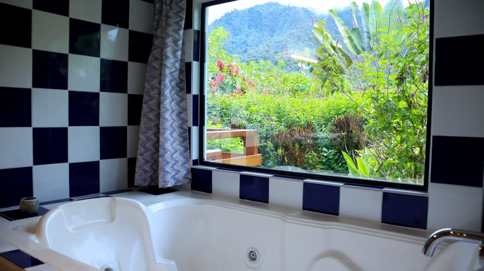 Luxury Cabin, 1 Queen Bed, Hot Tub, Mountain View | Bathroom | Free toiletries, hair dryer, towels, shampoo