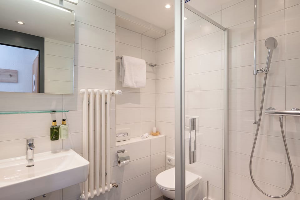 Standard Single Room, Mountain View | Bathroom | Hair dryer, bathrobes, towels