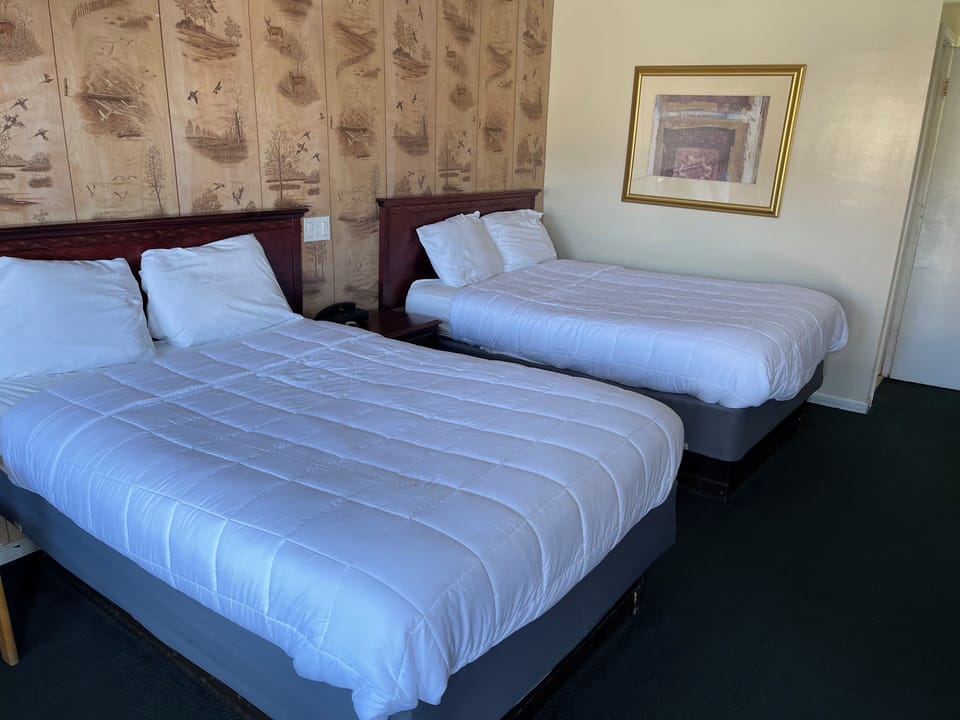 Standard Double Room | Soundproofing, iron/ironing board, WiFi (surcharge), bed sheets