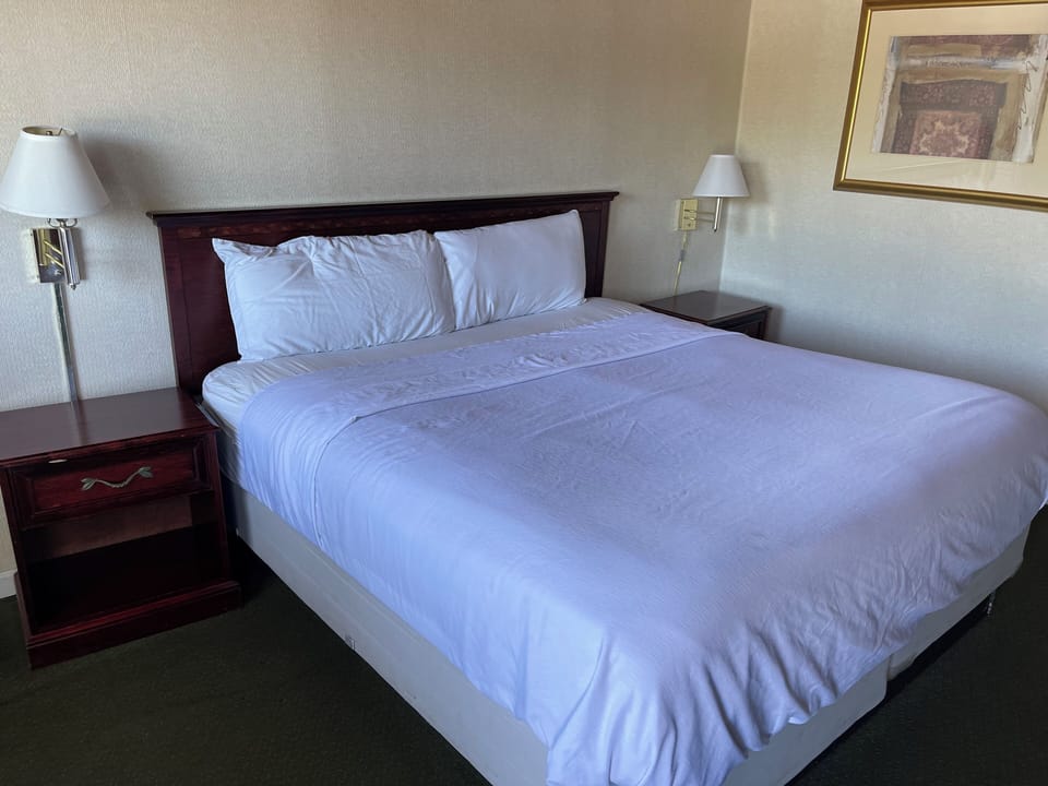 Soundproofing, iron/ironing board, WiFi (surcharge), bed sheets