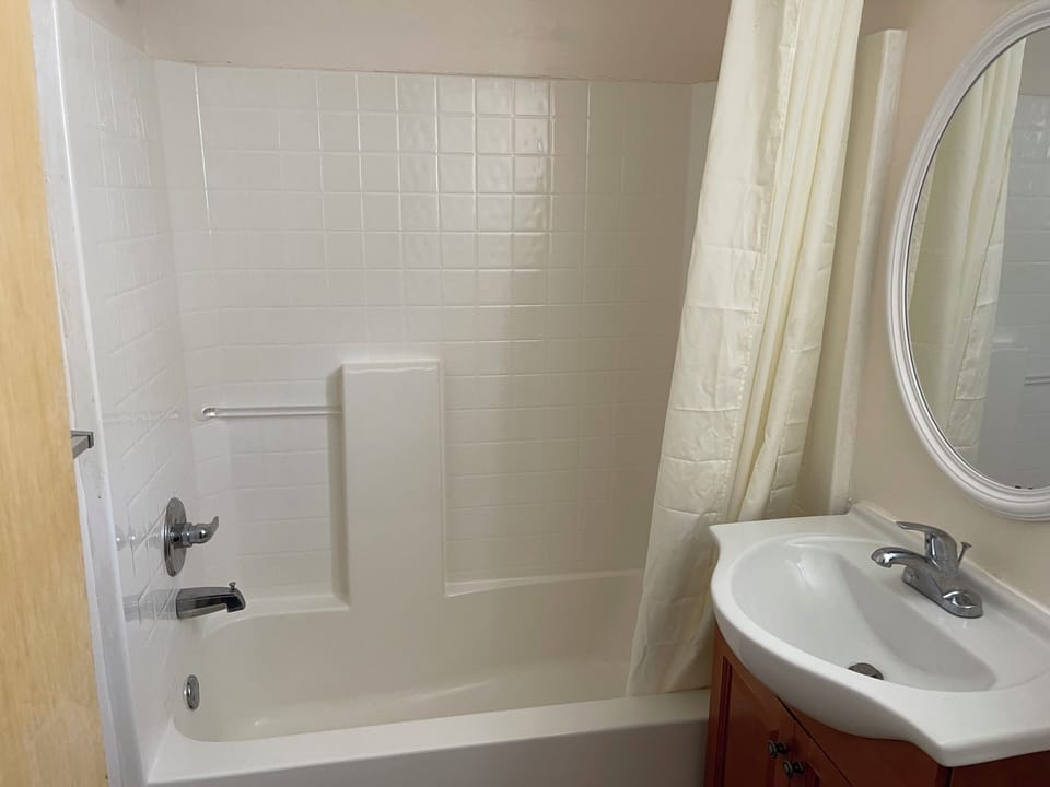Shower, hair dryer