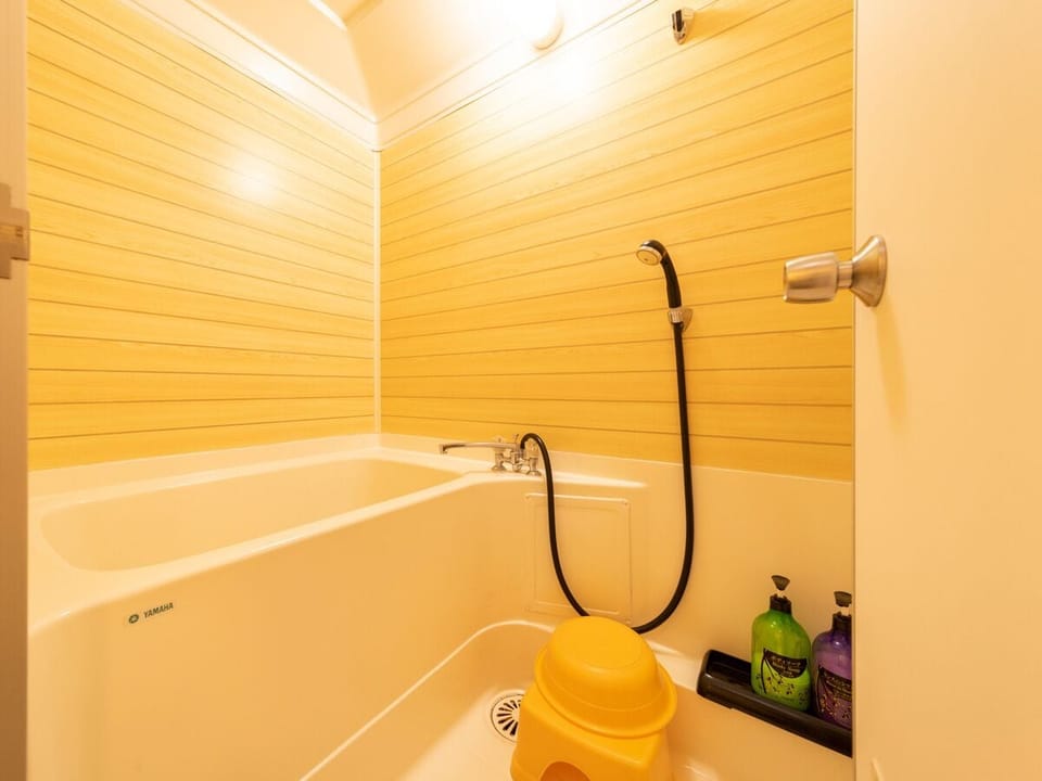 Combined shower/tub, free toiletries, hair dryer, bidet
