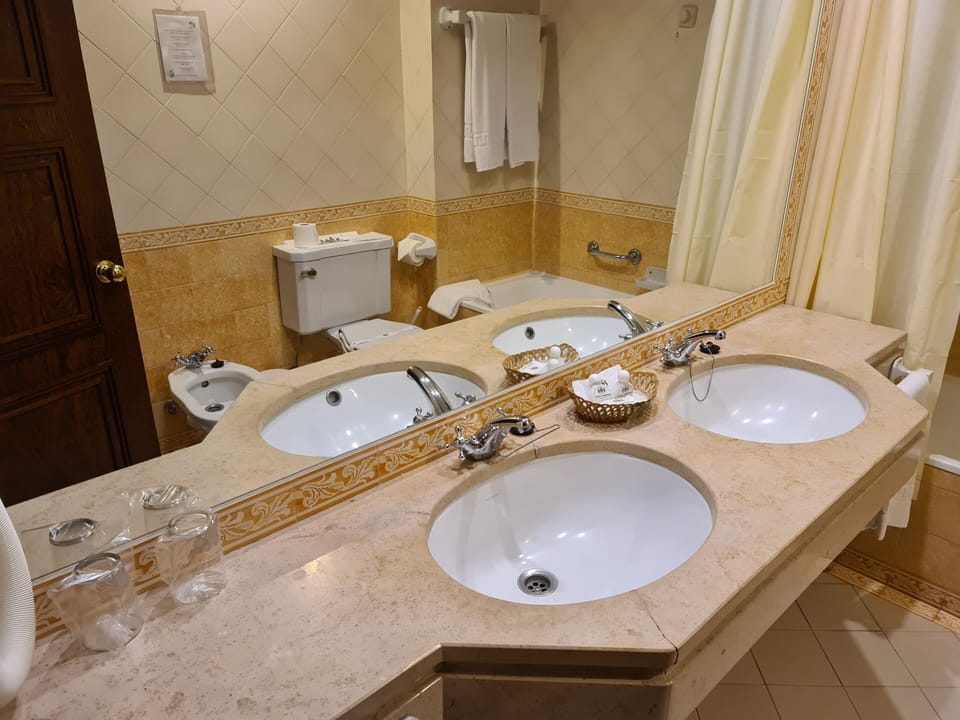 Bathtub, hair dryer, bidet, towels