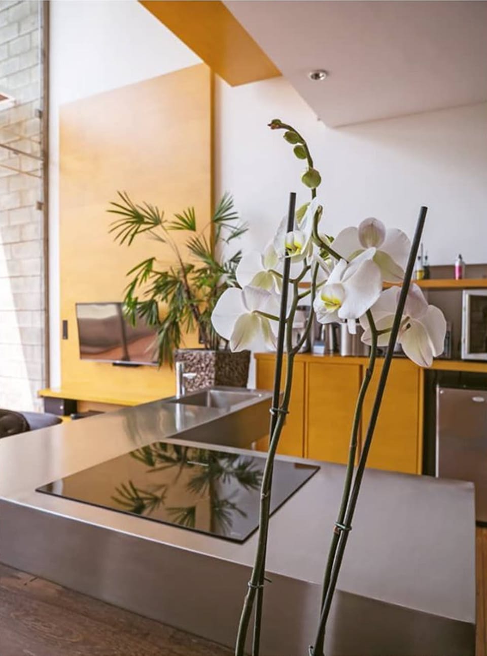 Junior Suite | Private kitchen | Coffee/tea maker, full-size fridge, microwave, dishwasher