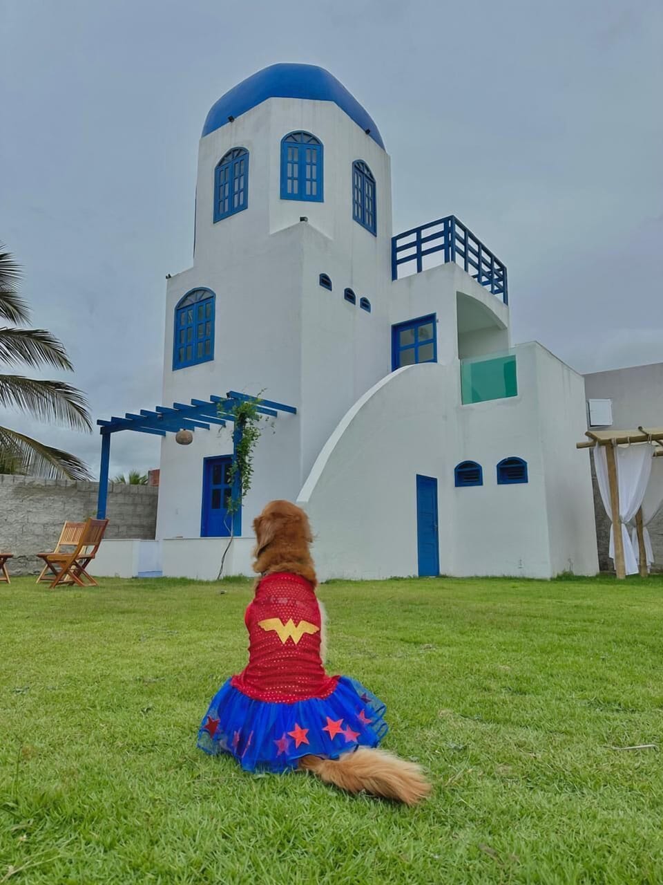 TRIBUS Experience Inn Inn in Jijoca de Jericoacoara