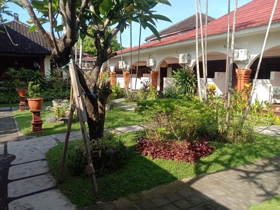 Superior Room | Terrace/patio