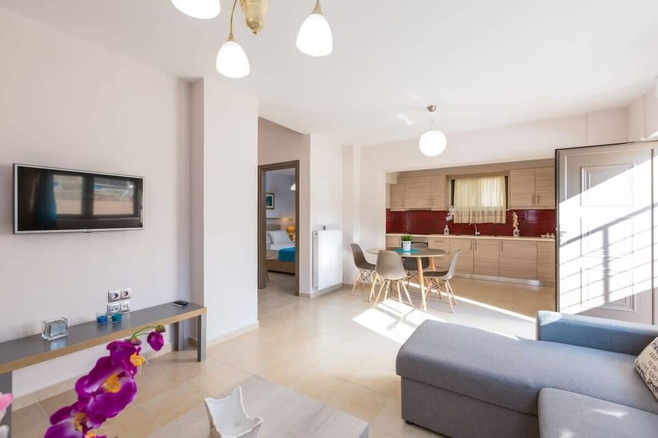 Spacious Living and Kitchen Area with Warm, Natural Light