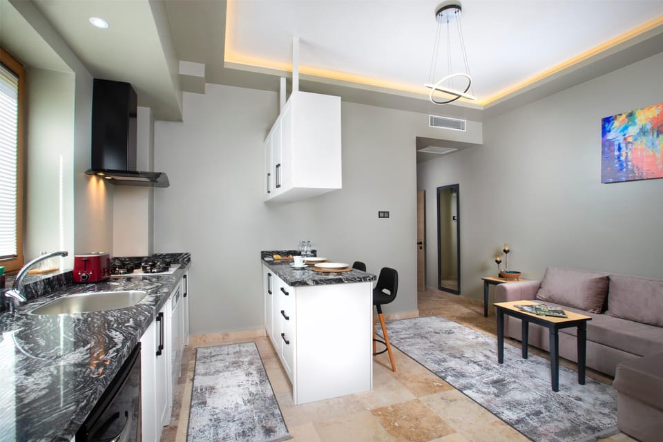 Room Number: 203 | Private kitchen | Mini-fridge, microwave, stovetop, dishwasher