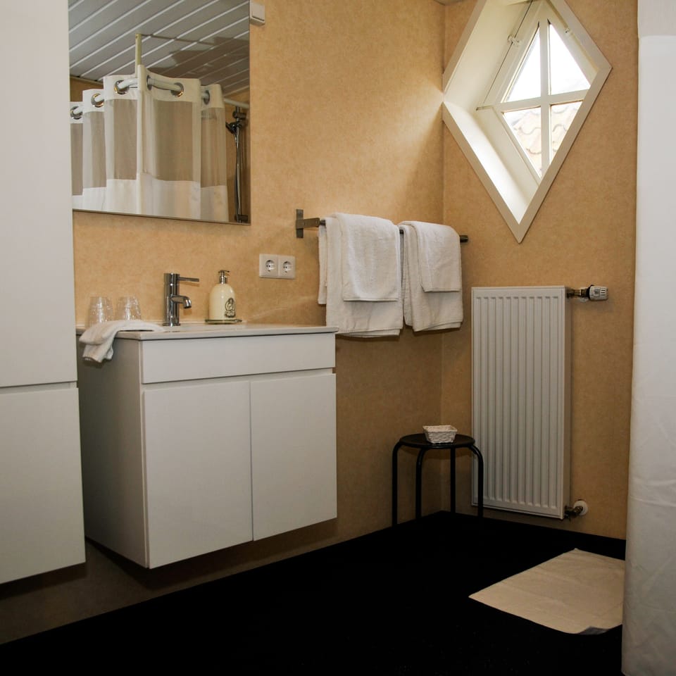 Shower, free toiletries, hair dryer (on request), towels