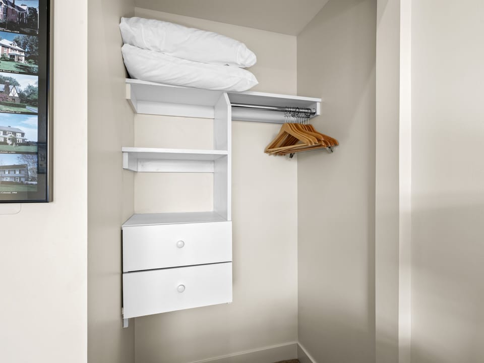 Closet Storage