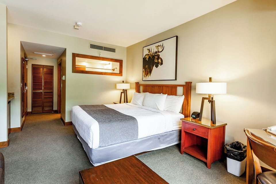 1 King Bed and Sleeper Sofa