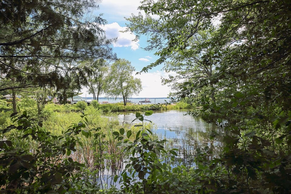 Lake view