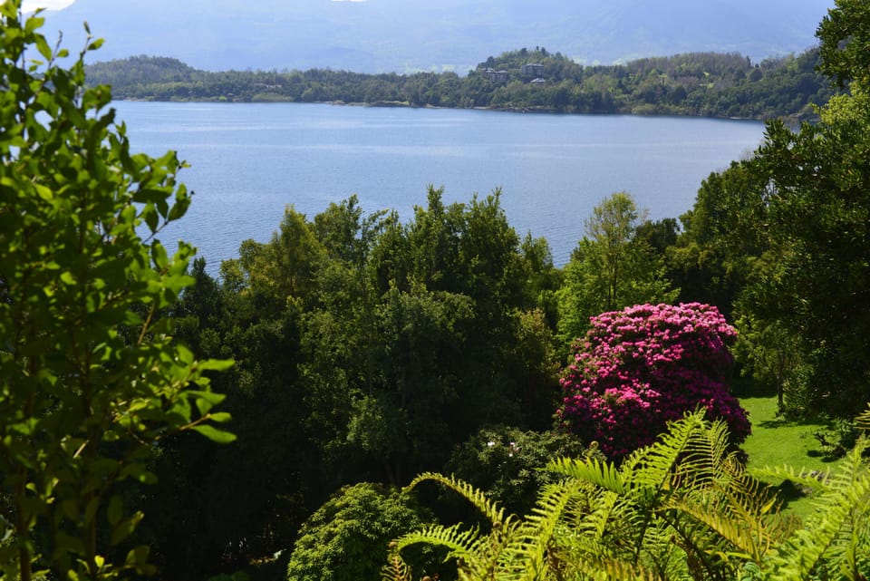 Forest Chalet for 6 people | Lake view