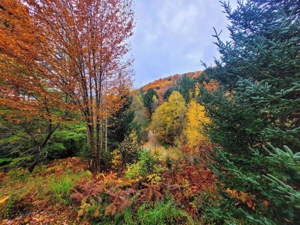 Beautiful 4 Bed Home in a Tranquil, Ideal Setting (202)